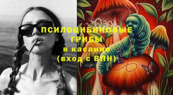 сатива Осташков