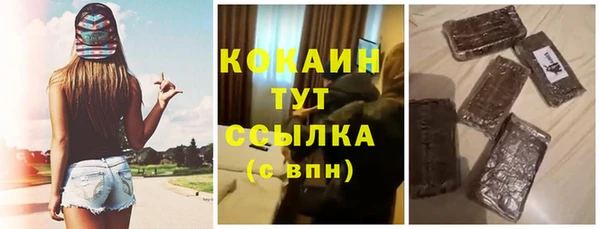 сатива Осташков
