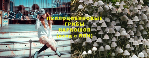 сатива Осташков