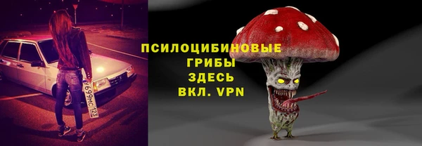 ALPHA-PVP Осинники