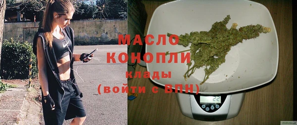 сатива Осташков