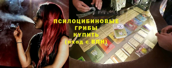 ALPHA-PVP Осинники