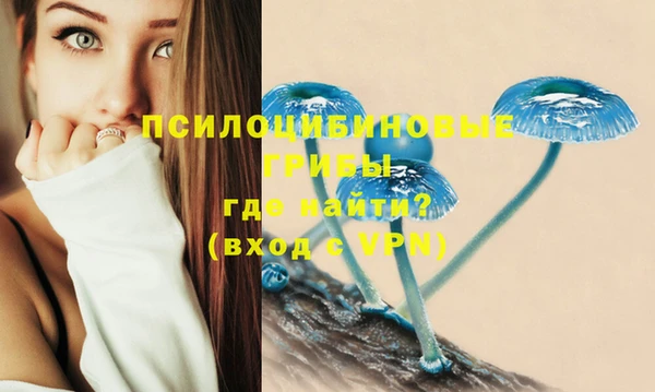 ALPHA-PVP Осинники