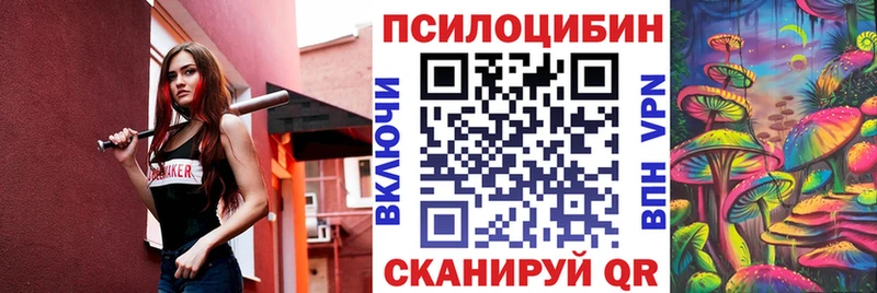 Псилоцибиновые грибы Cubensis  Купить где  Уяр 